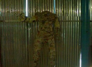 108629_300[1].jpeg